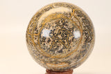 5" Leopard Skin Jasper Sphere DX1666