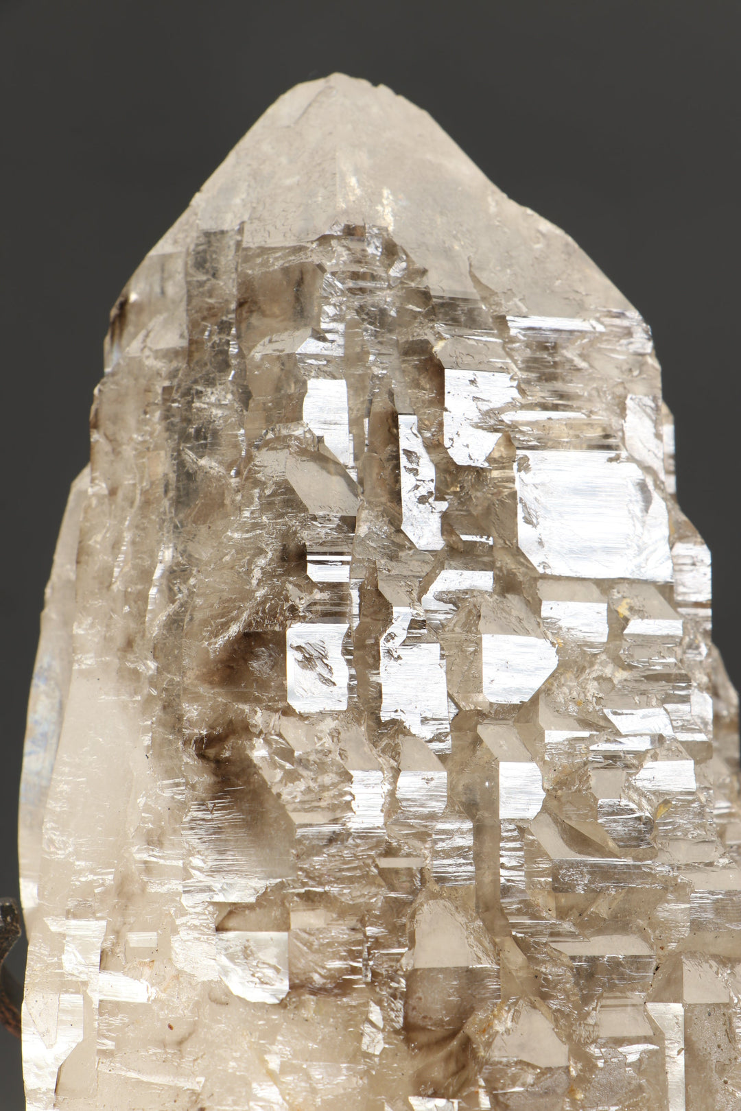8" Smoky Elestial Quartz Crystal on Stand DX3020