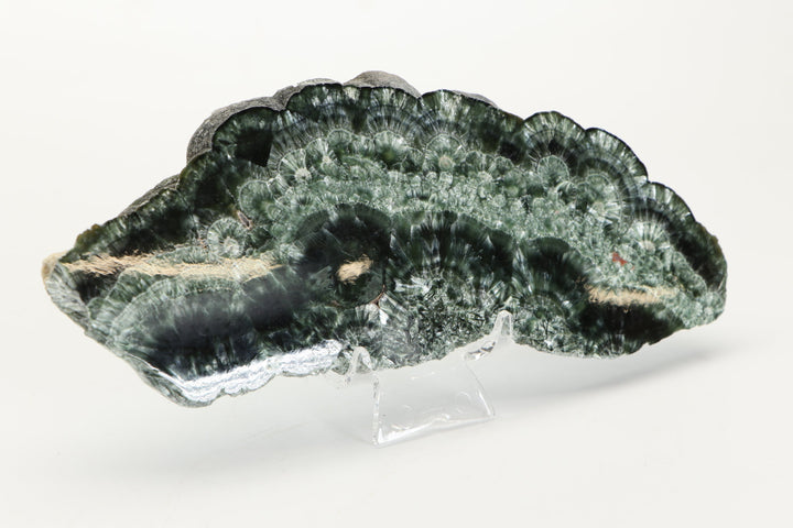 Clinochlore (Seraphinite) Slab DX4543