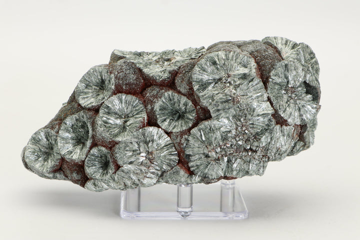 Large Botryoidal Clinochlore (Seraphinite) Specimen DX4554