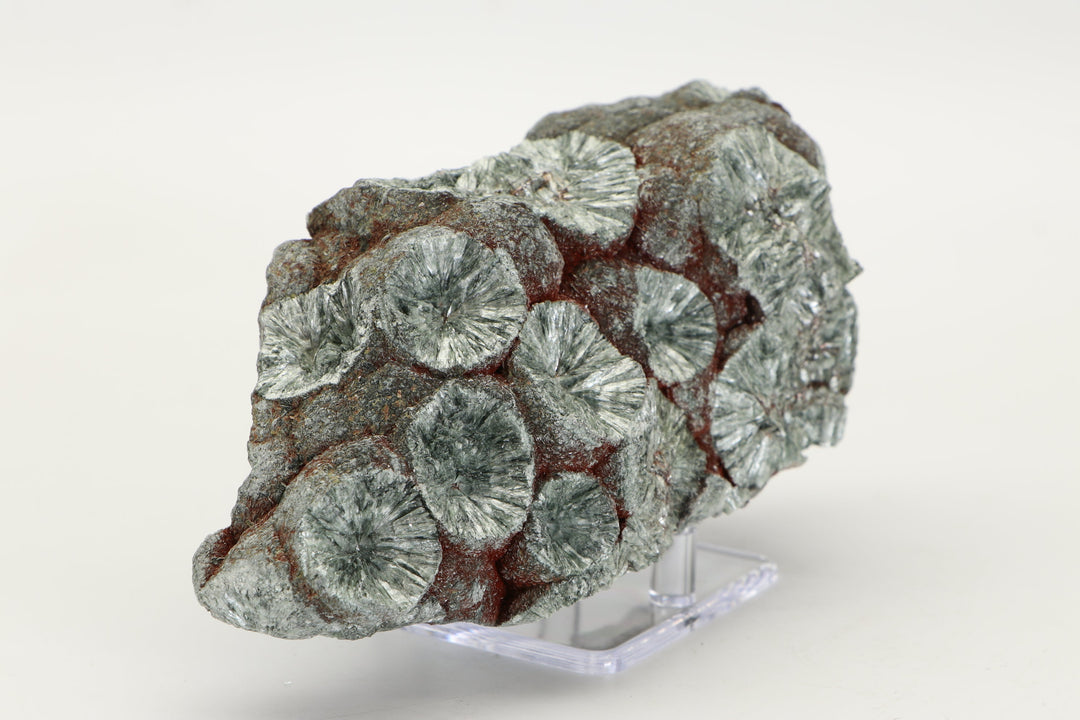 Large Botryoidal Clinochlore (Seraphinite) Specimen DX4554