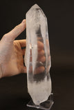 10.5" Lemurian Seed Crystal DX479