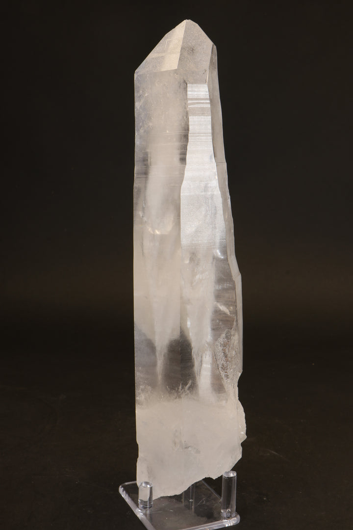 10.5" Lemurian Seed Crystal DX479