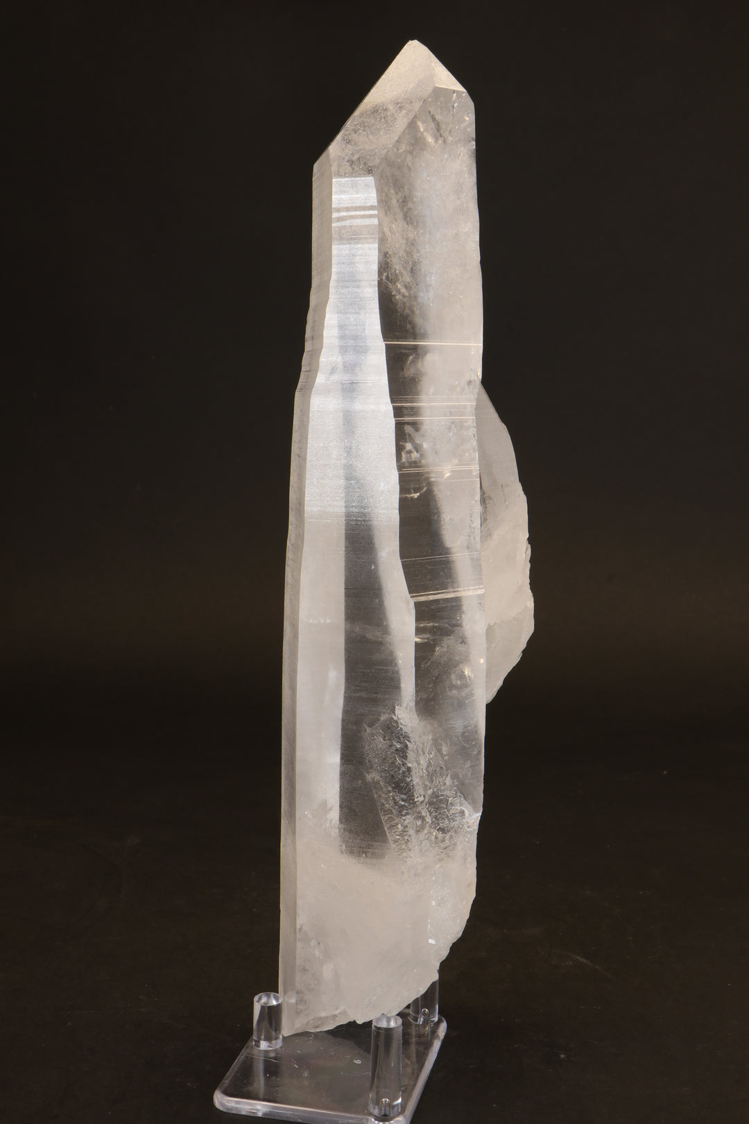 10.5" Lemurian Seed Crystal DX479