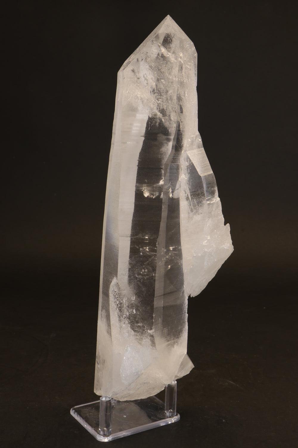 10.5" Lemurian Seed Crystal DX479