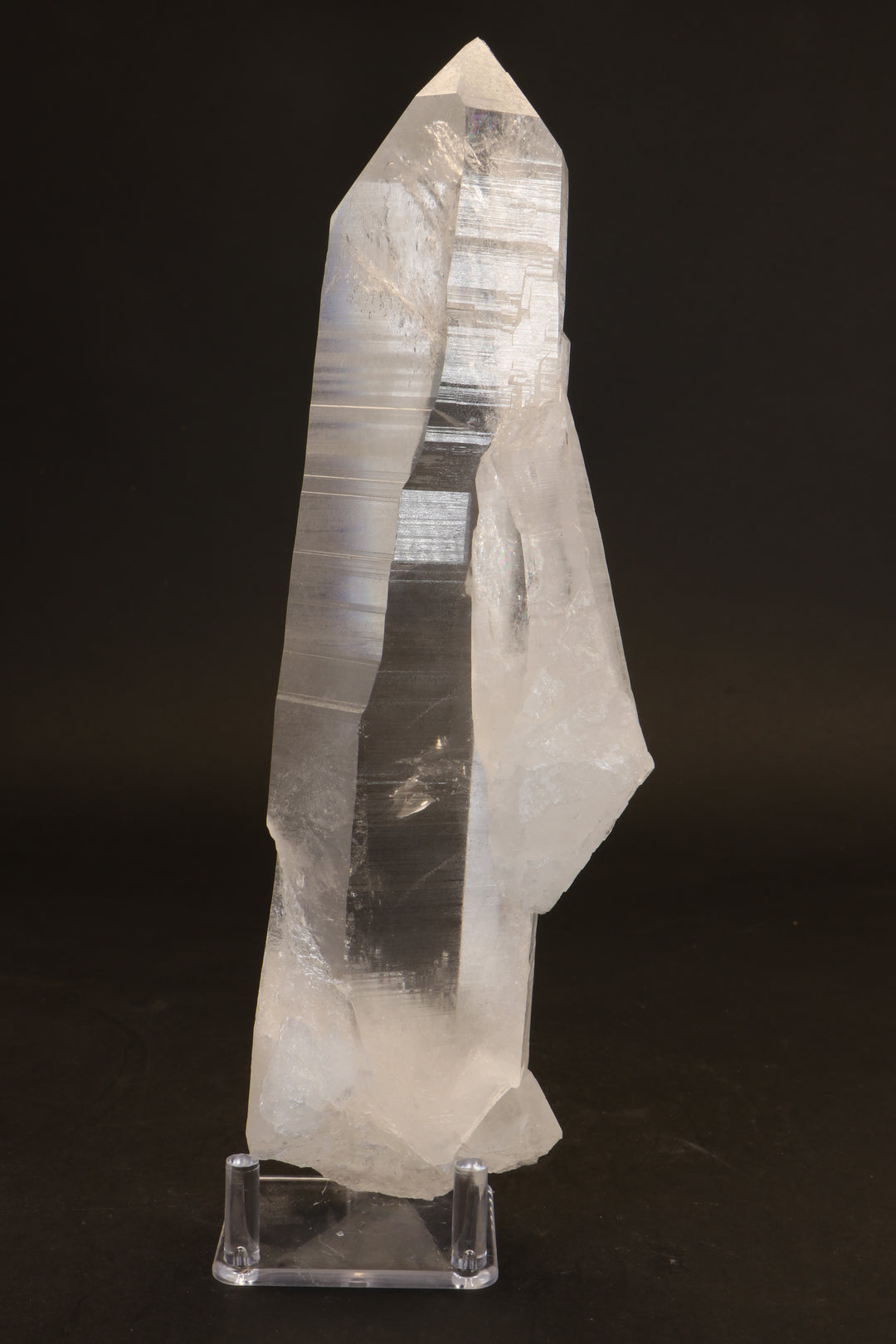 10.5" Lemurian Seed Crystal DX479