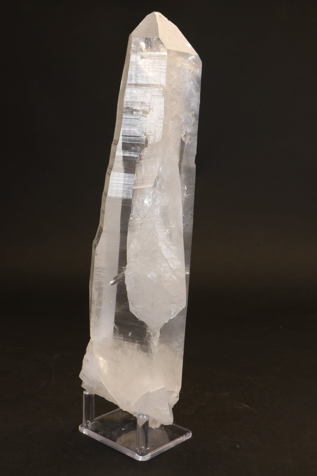 10.5" Lemurian Seed Crystal DX479