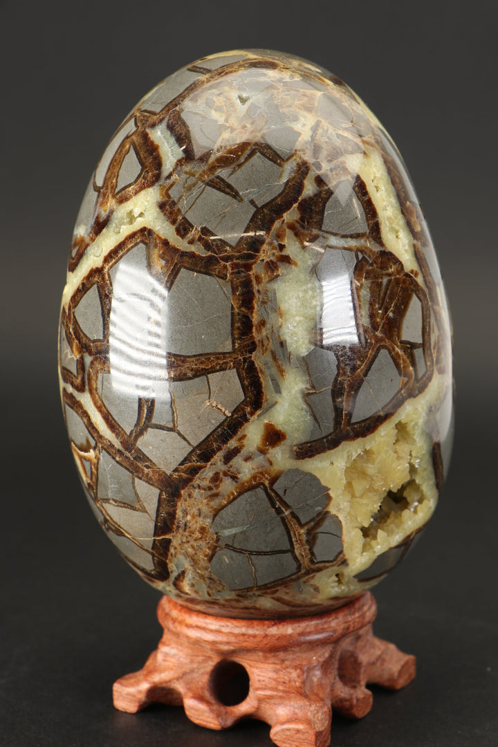 Large Septarian Geode Egg DX5046