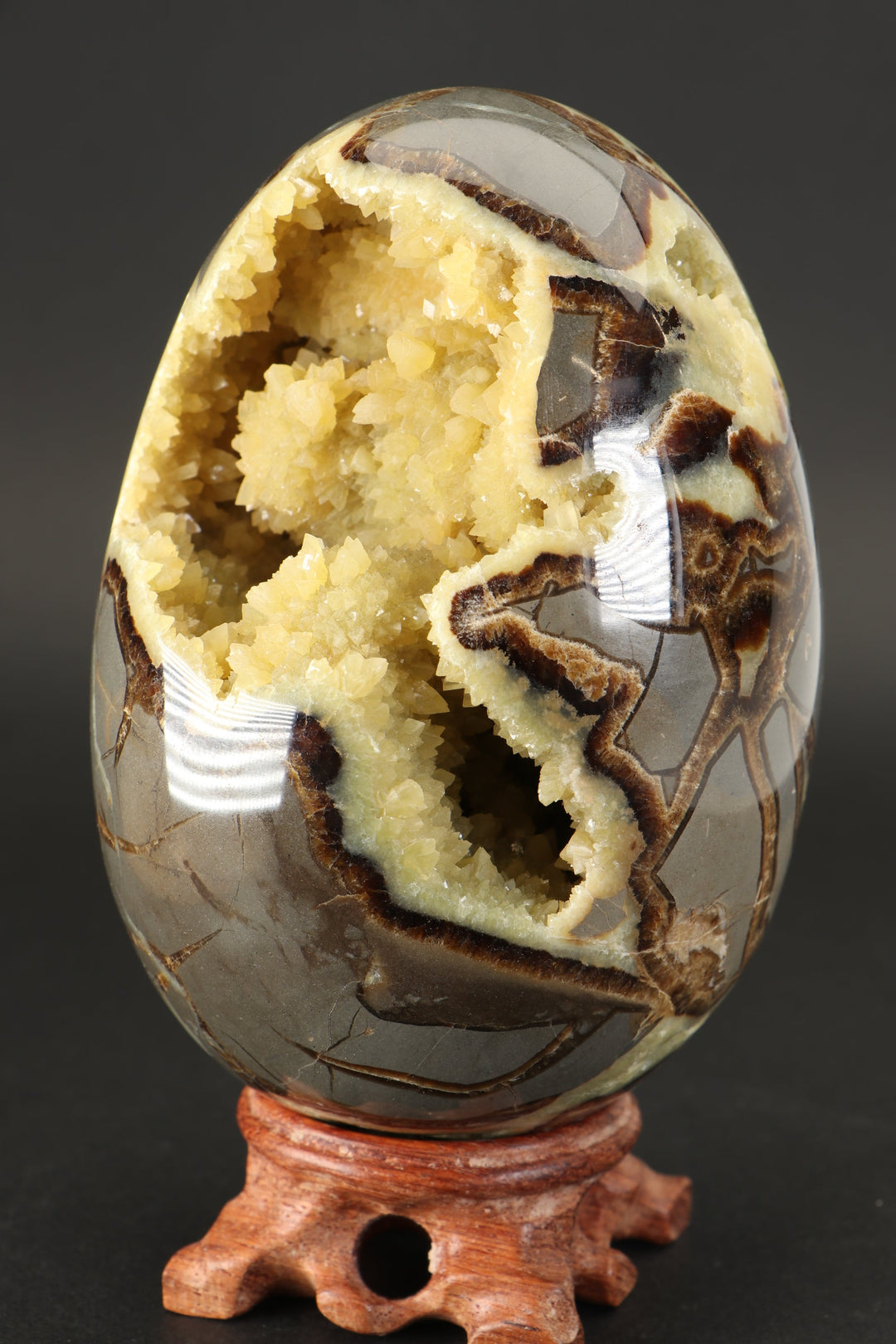 Large Septarian Geode Egg DX5046