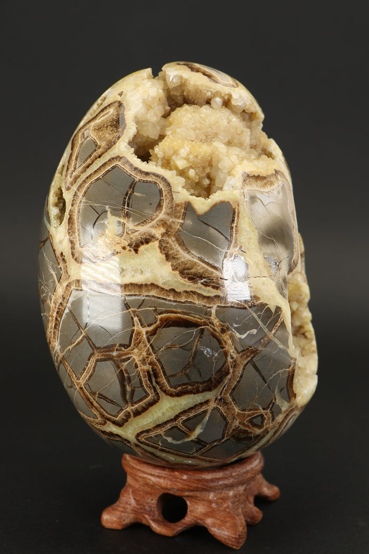 Large Septarian Geode Egg DX5048