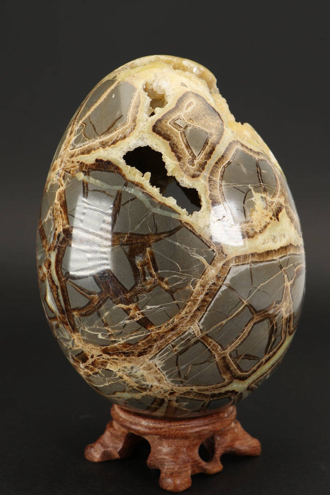 Large Septarian Geode Egg DX5048