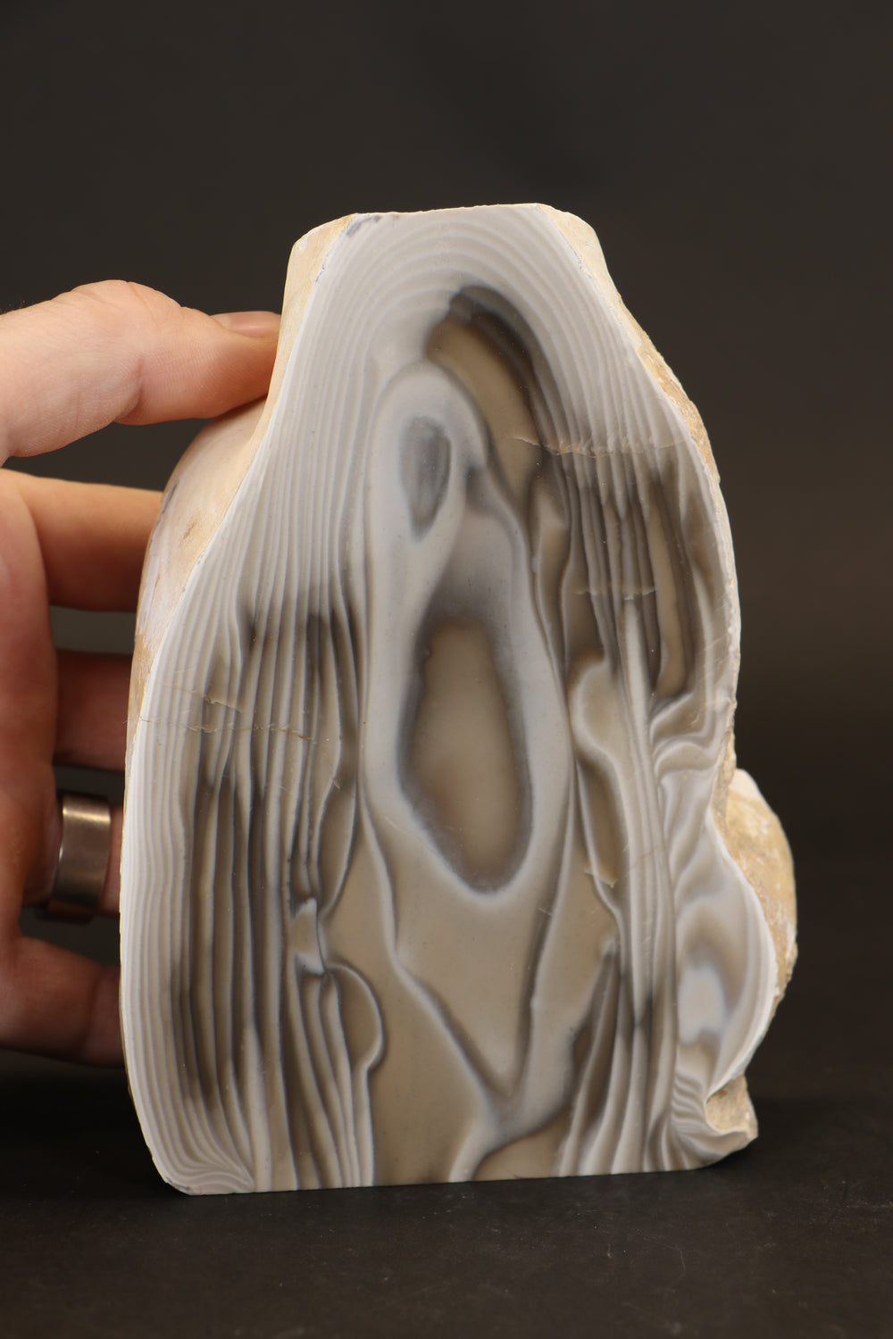 6.5" Polish Flint Freeform Display DX671