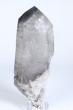 Black Phantom Lemurian  TD1983