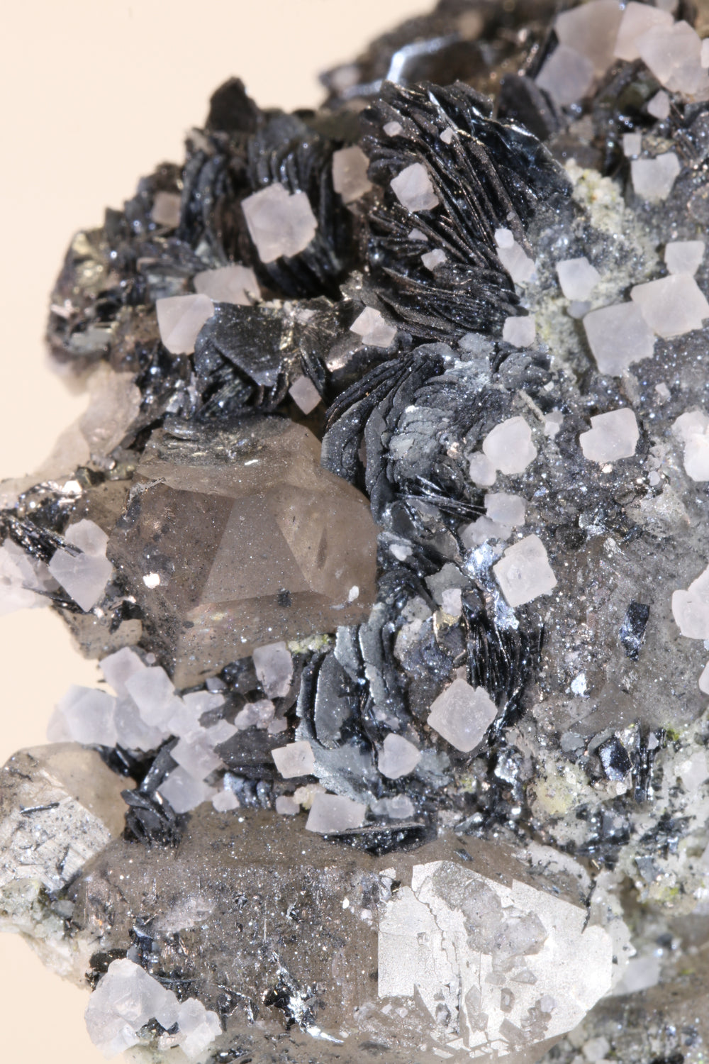 Fluorite and Hematite Rosettes on Smoky Quartz TD2878