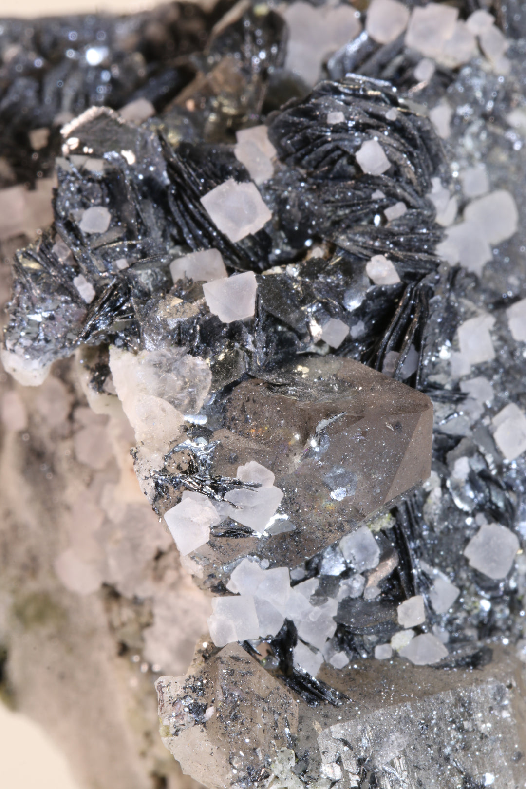 Fluorite and Hematite Rosettes on Smoky Quartz TD2878