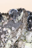 Fluorite and Hematite Rosettes on Smoky Quartz TD2878