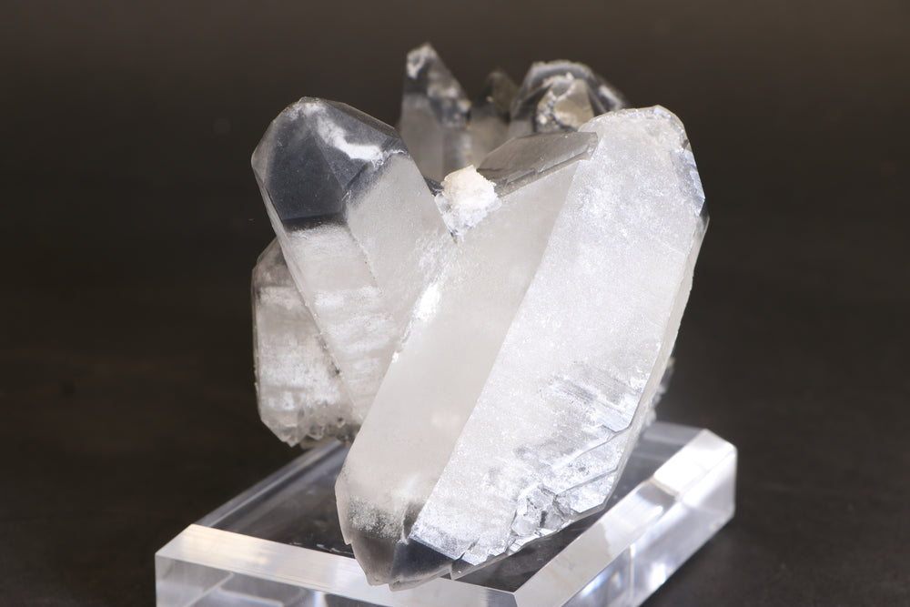 Black Phantom Lemurian Cluster TC1431
