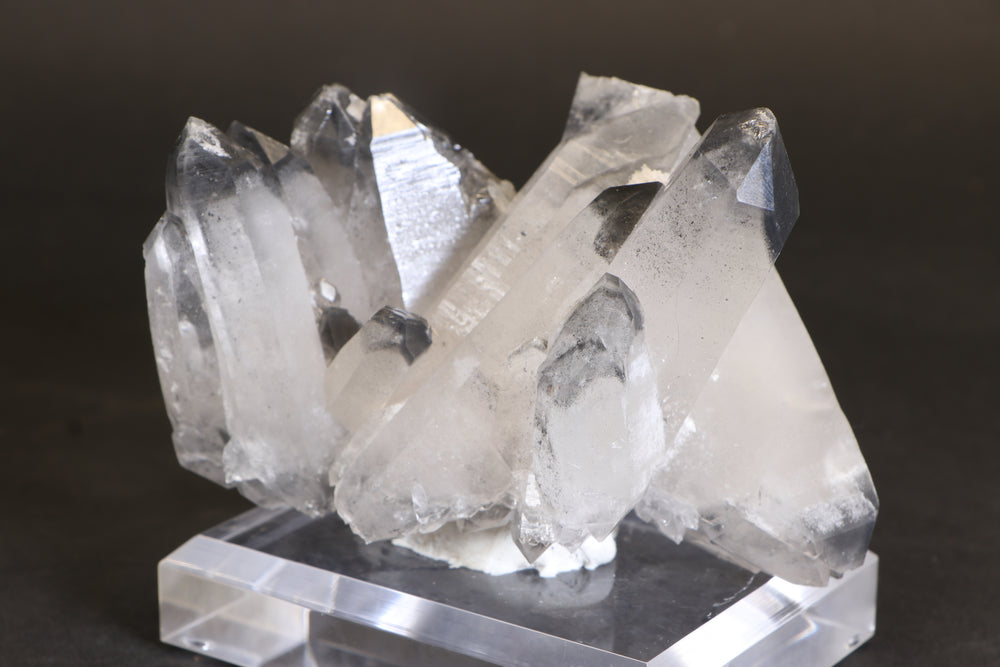 Black Phantom Lemurian Cluster TC1431