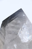 Black Phantom Lemurian  TD1983