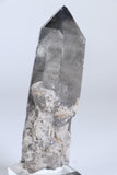 Black Phantom Lemurian TC1430