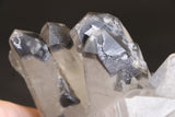 Black Phantom Lemurian Cluster TC1431