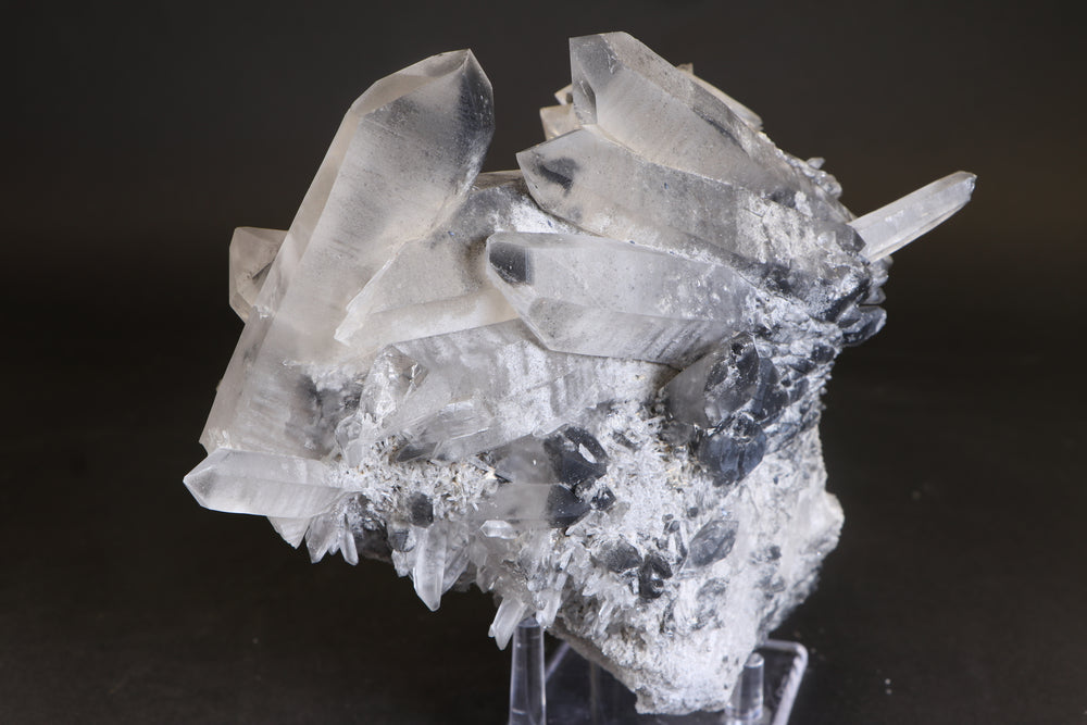 Black Phantom Lemurian Cluster TC1442