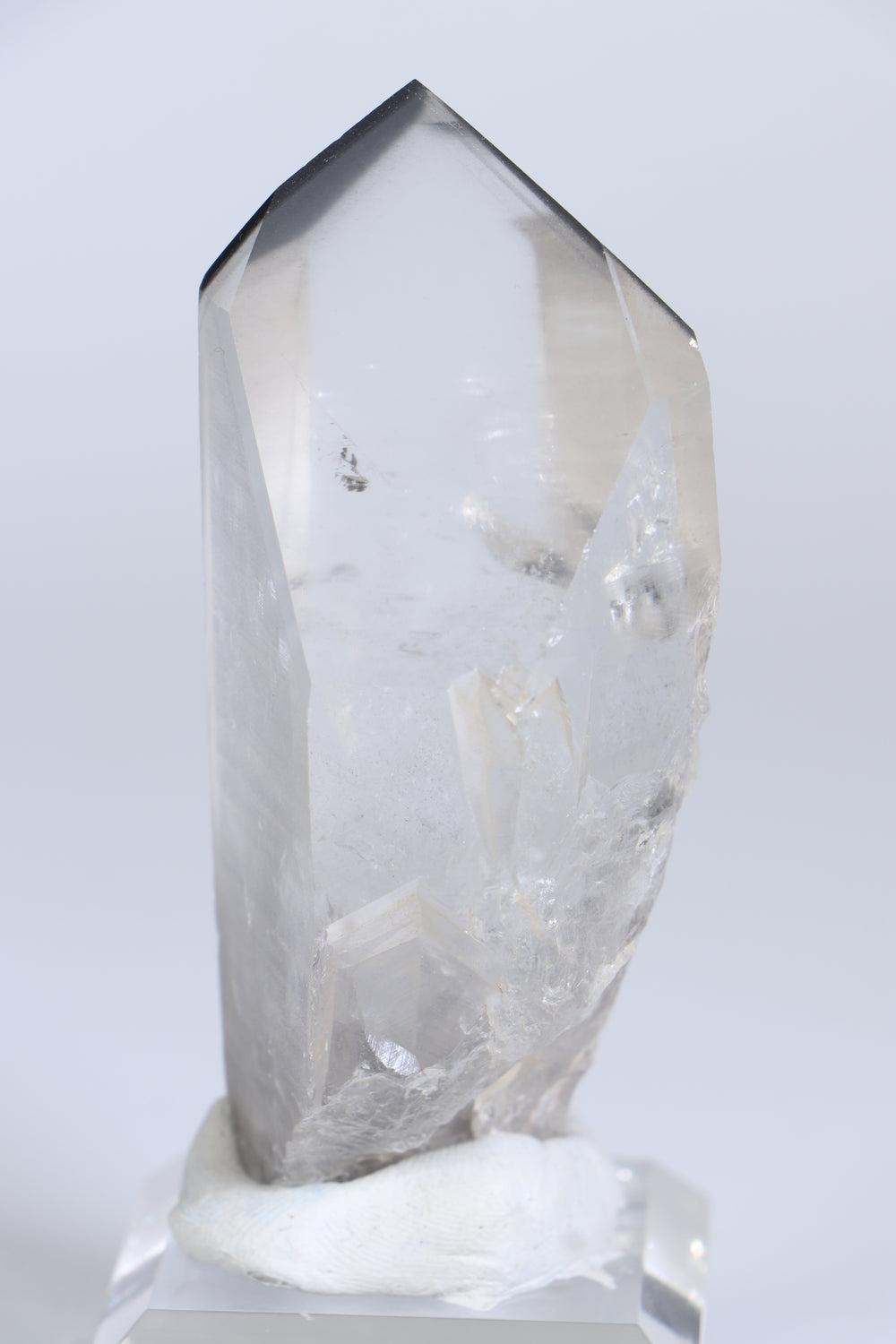 Black Phantom Lemurian TC1421