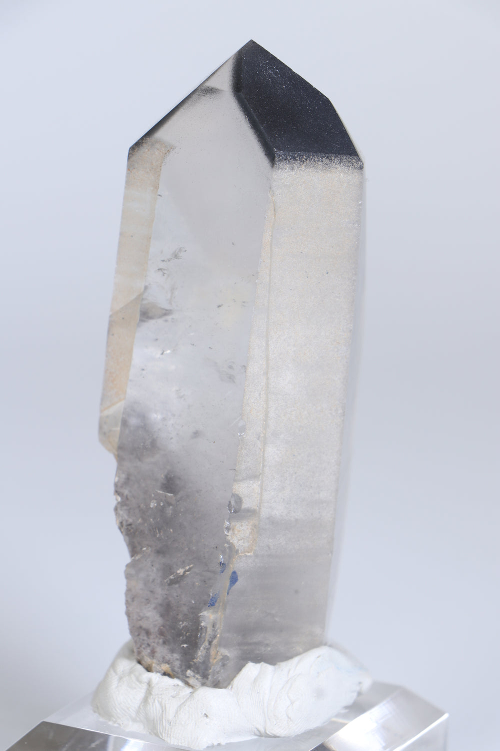 Black Phantom Lemurian TC1421