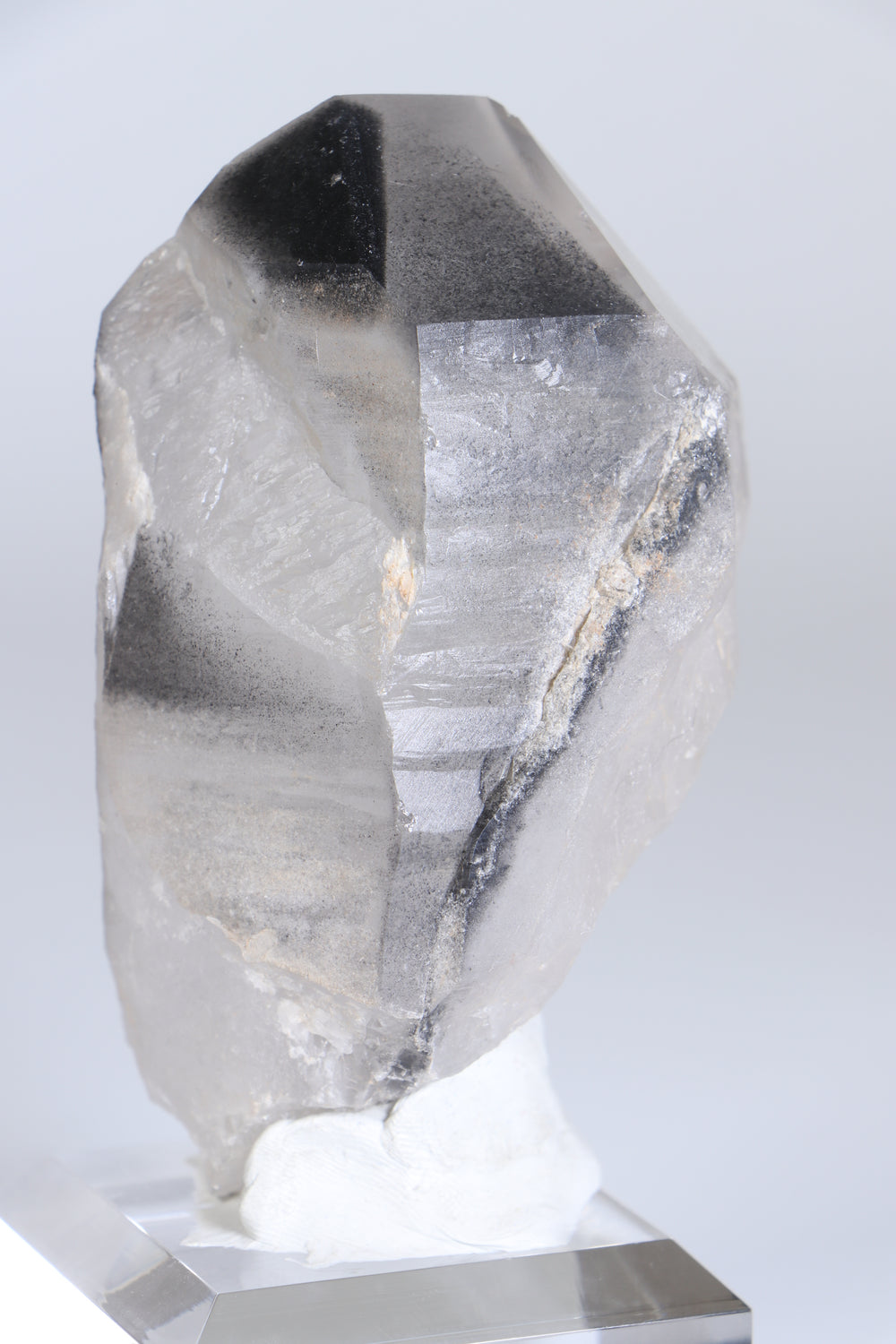 Black Phantom Lemurian TC1348