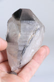 Black Phantom Lemurian TC1348