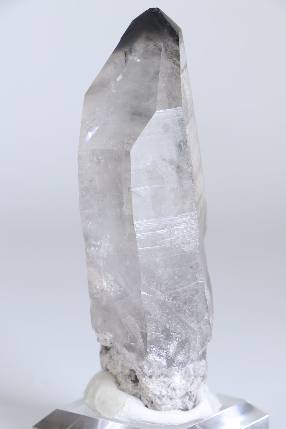 Black Phantom Lemurian TC1419