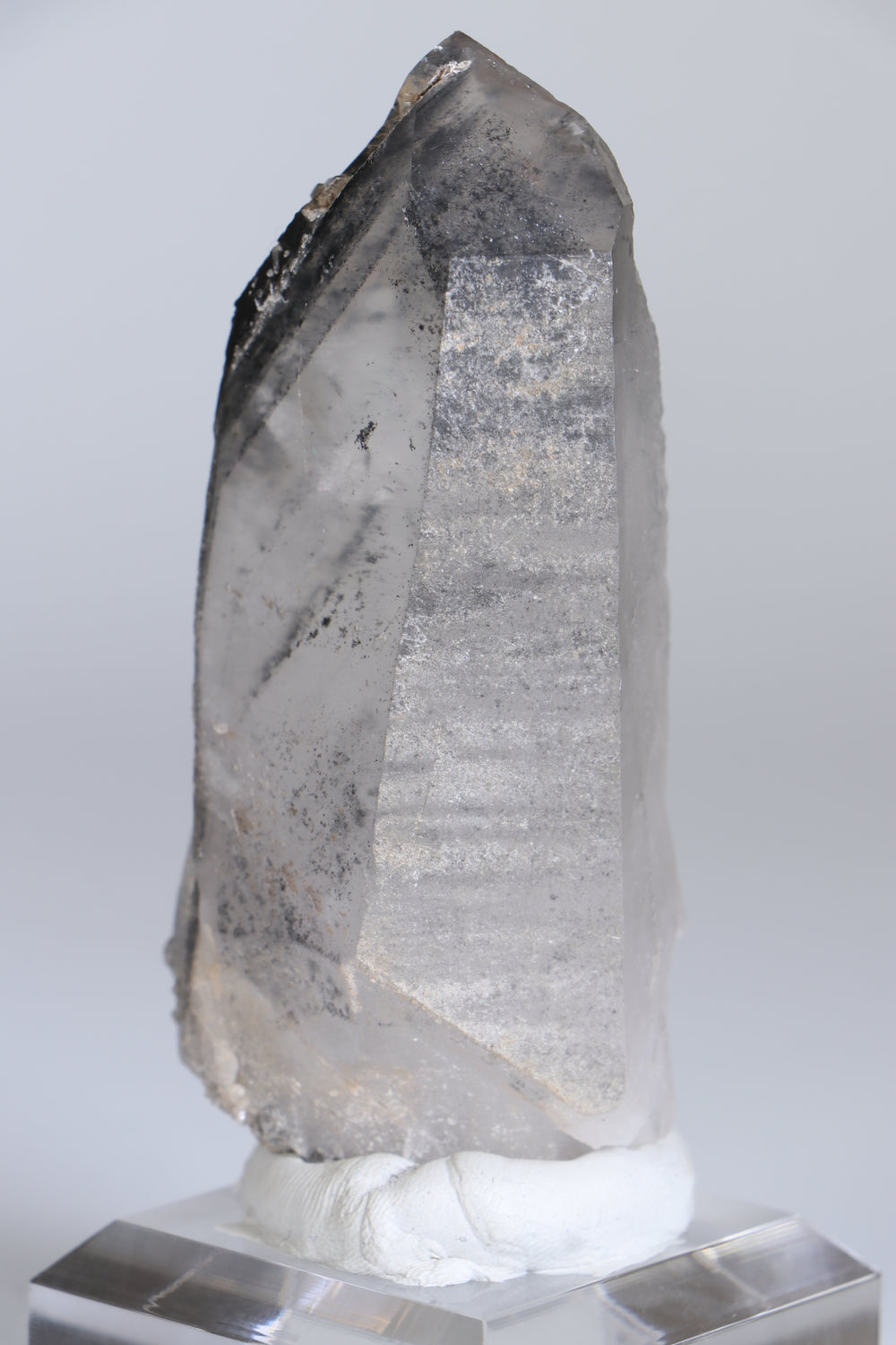 Black Phantom Lemurian TC1347