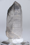 Black Phantom Lemurian TC1347