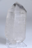 Double Terminated Black Phantom Lemurian TC1417