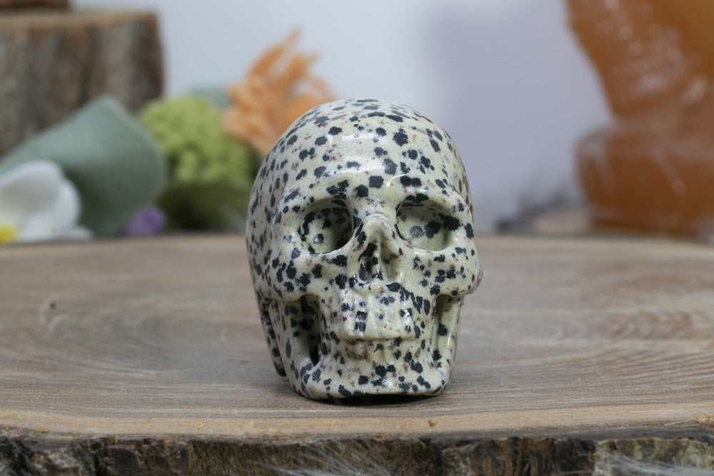 2" Dalmation Stone Skull