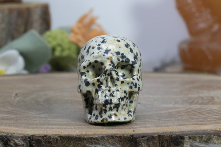 2" Dalmation Stone Skull