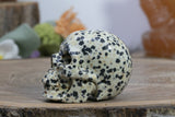 2" Dalmation Stone Skull
