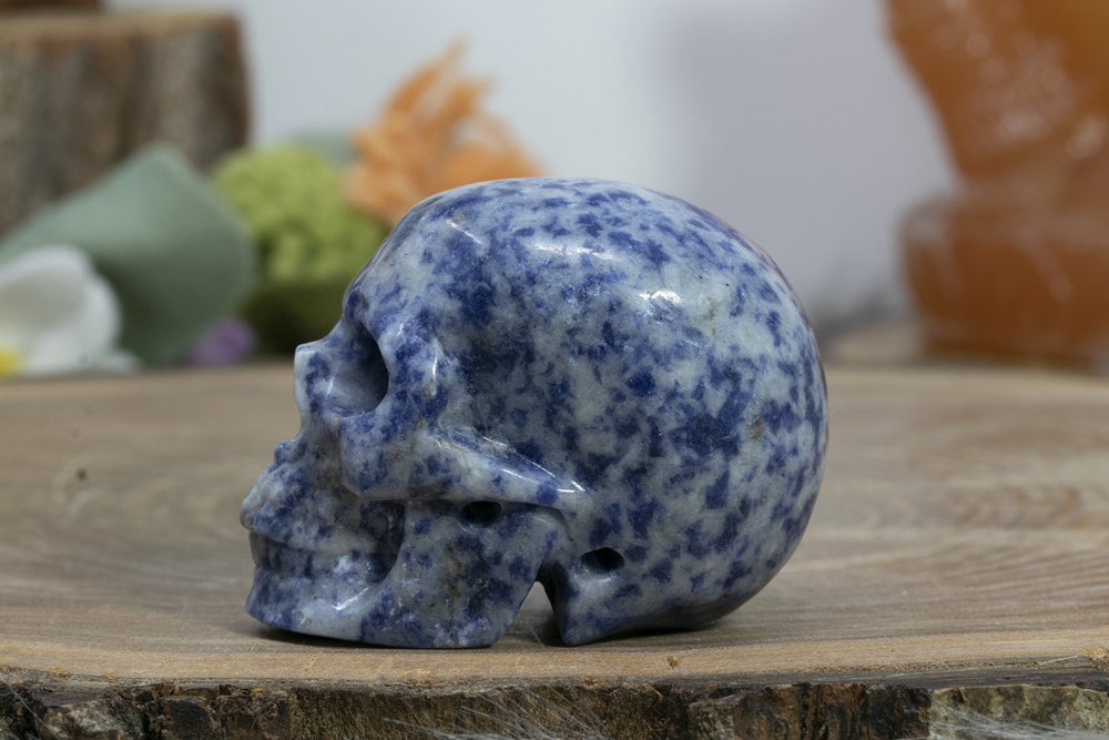 2" Sodalite Skull