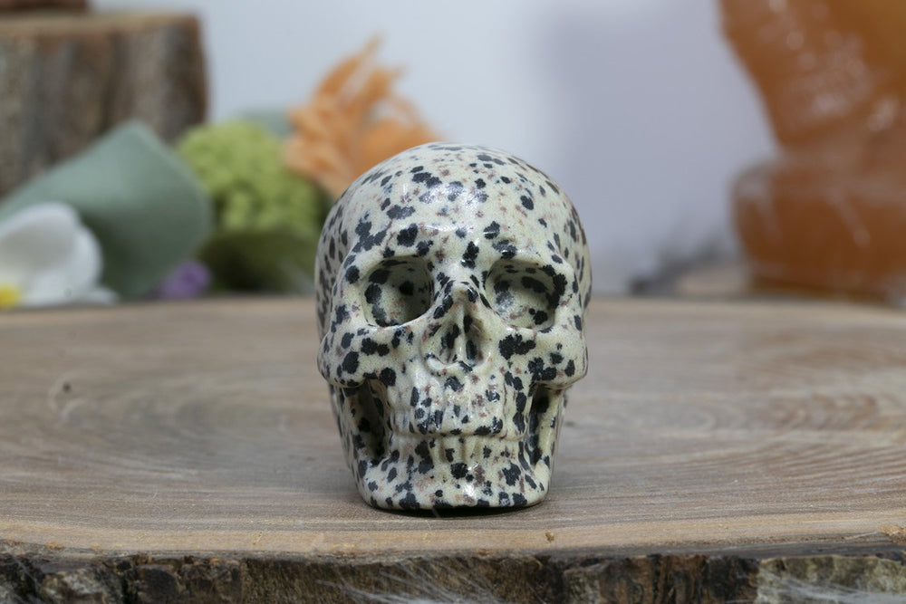2" Dalmation Stone Skull