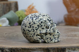 2" Dalmation Stone Skull