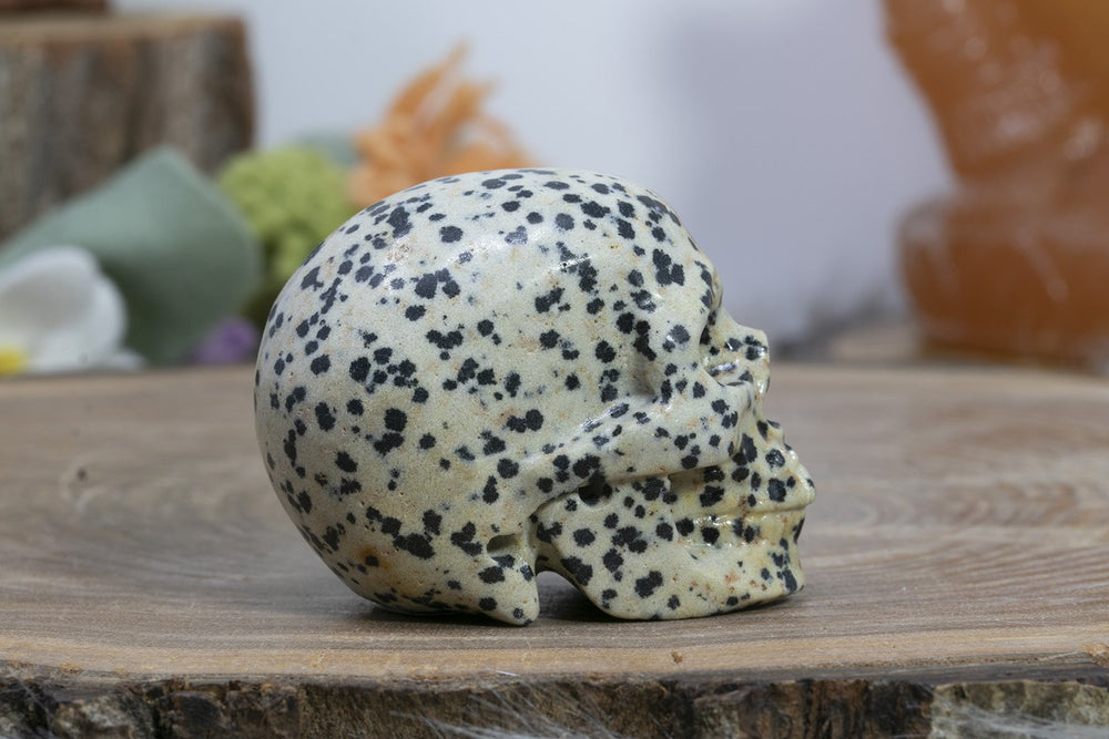 2" Dalmation Stone Skull
