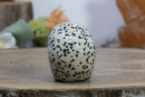 2" Dalmation Stone Skull