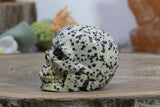 2" Dalmation Stone Skull