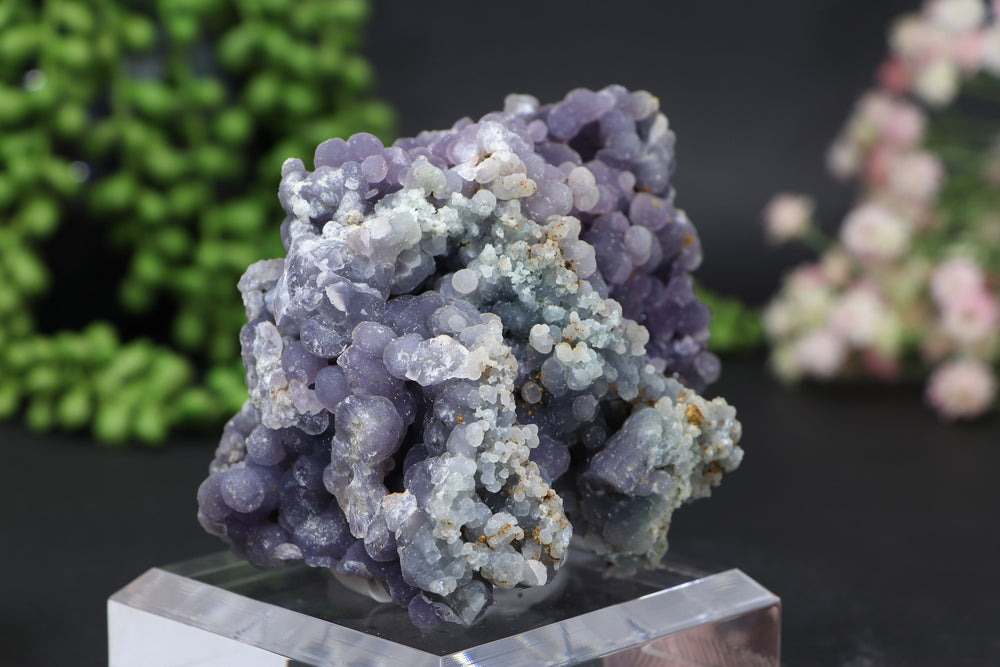 388 gram Grape Agate Specimen DE804