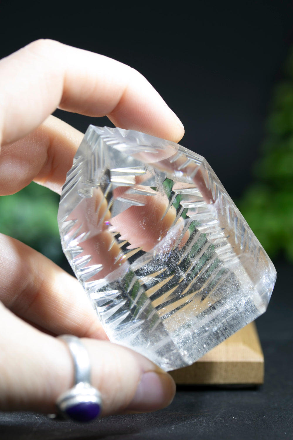 Fantasy Cut Lemurian