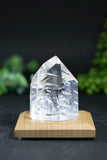 Fantasy Cut Lemurian