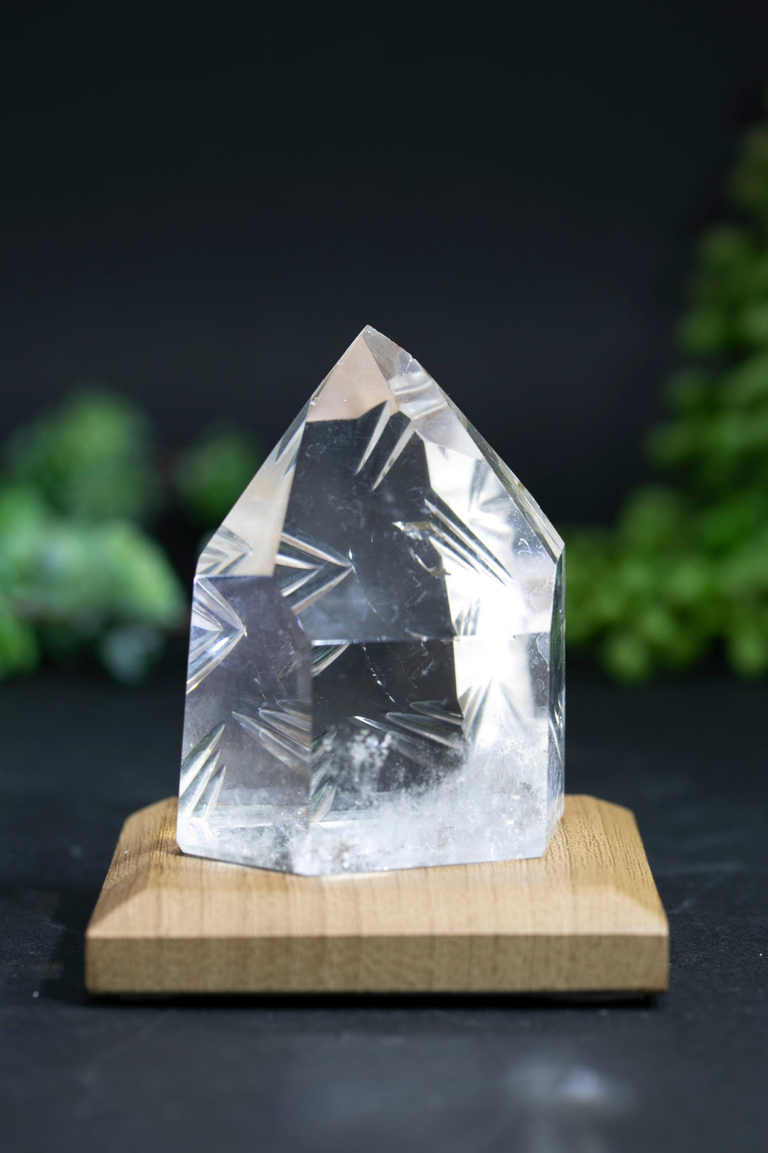 2.5" Fantasy Cut Lemurian BC755