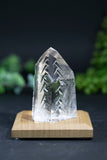 Fantasy Cut Lemurian