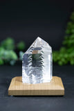 Fantasy Cut Lemurian