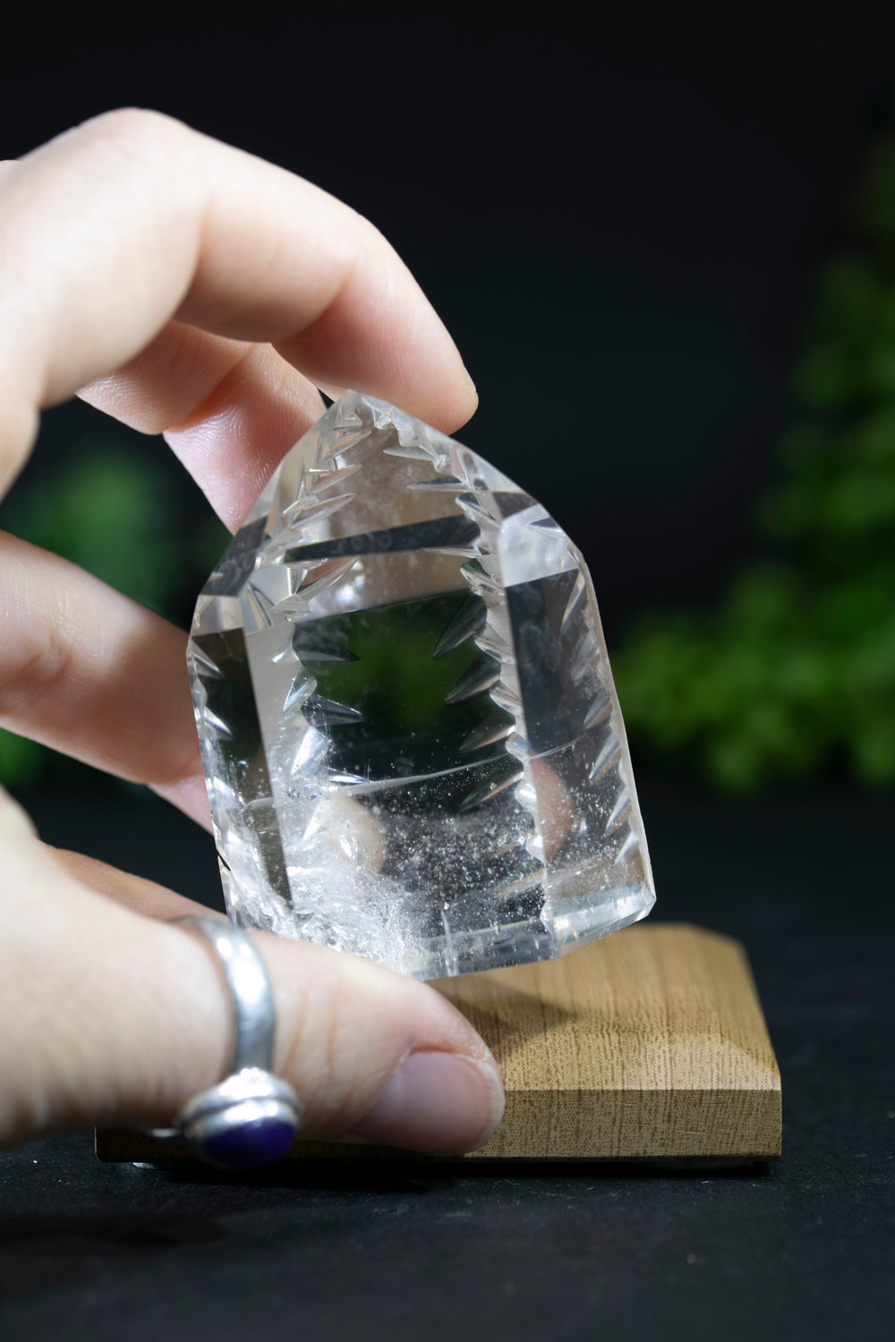 Fantasy Cut Lemurian